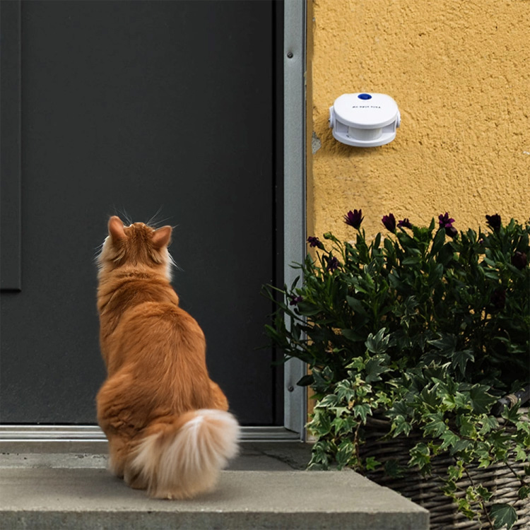 Dörrklocka för katter och hundar