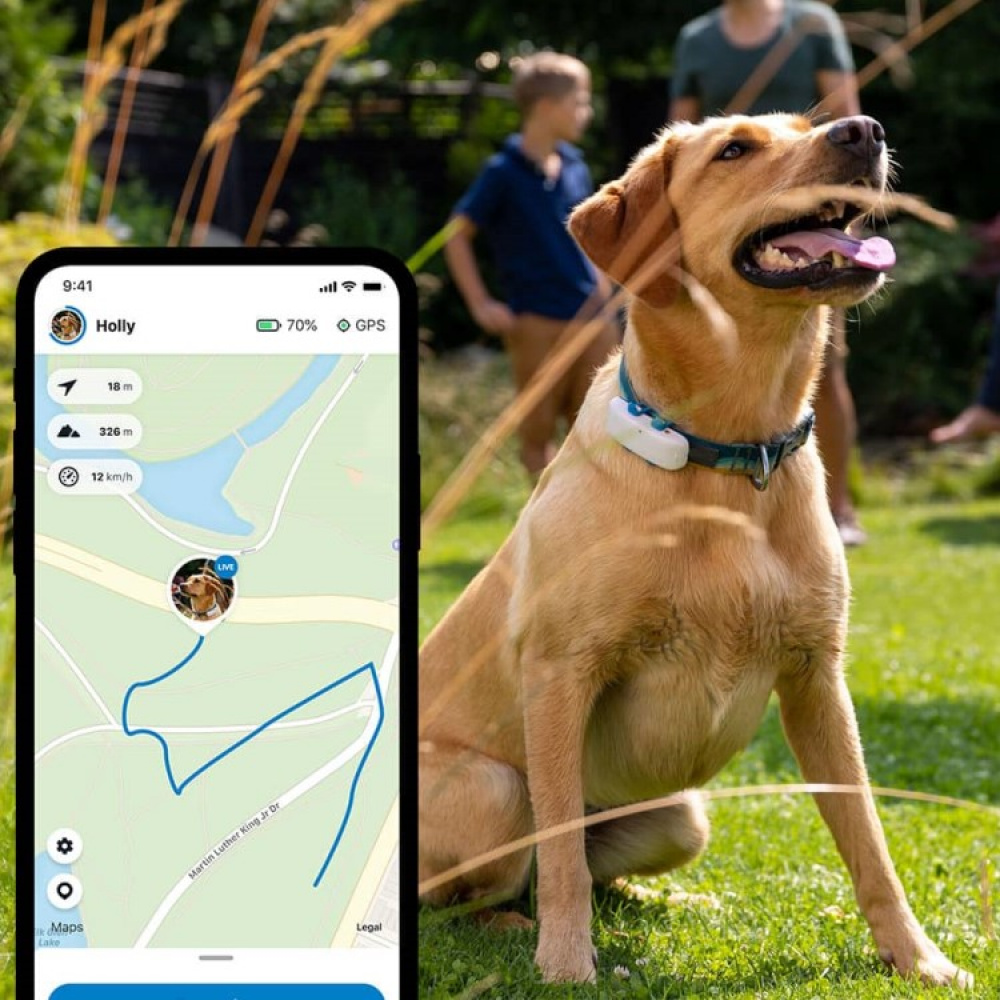 GPS till hund i gruppen Fritid / Husdjur / Hundsaker hos SmartaSaker.se (11853)