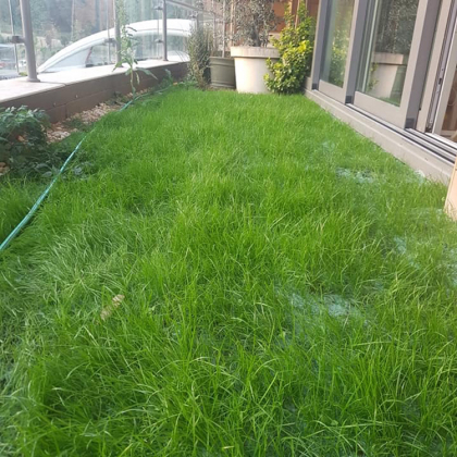 Turfquick gräsfrön på rulle