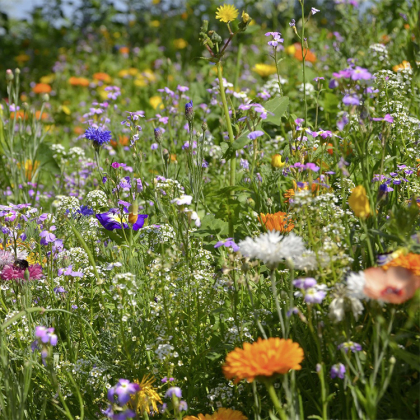 Turfquick blomsterland