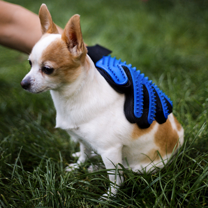 Borsthandske till hund & katt