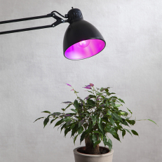 LED-Glödlampa till växter och odling