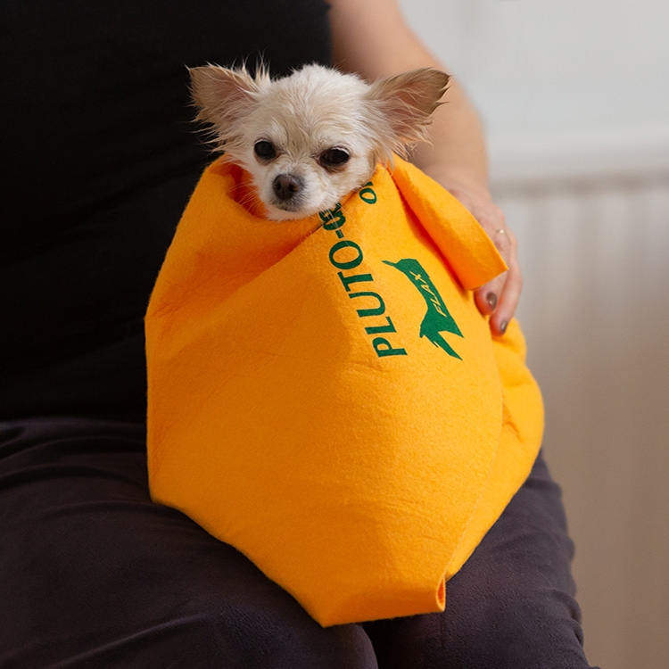 Handduk till hunden