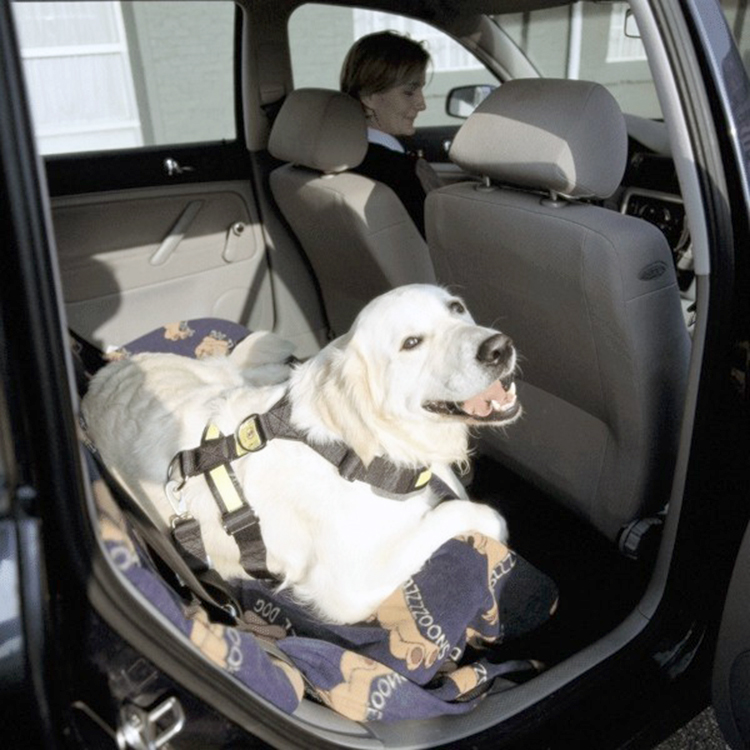 Bilbältessele till hunden, Large
