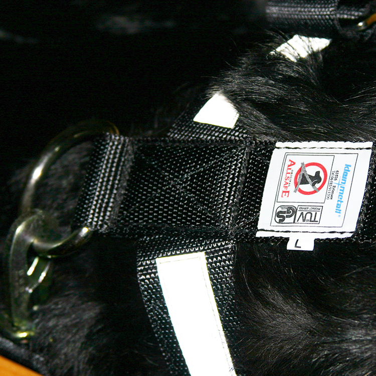 Bilbältessele till hunden