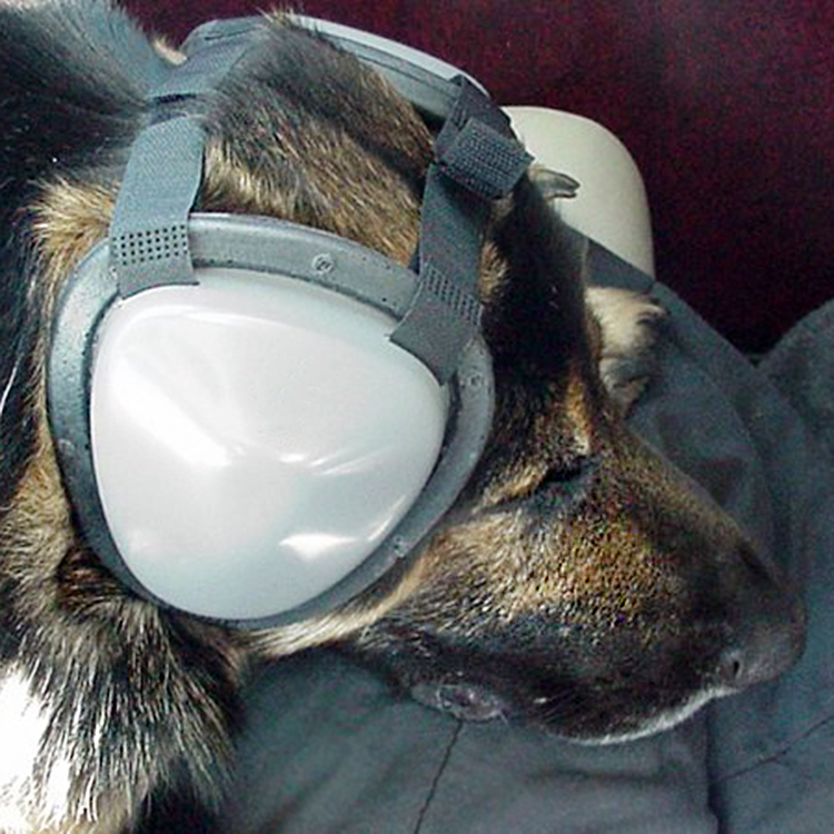Hörselskydd för hundar, XLarge