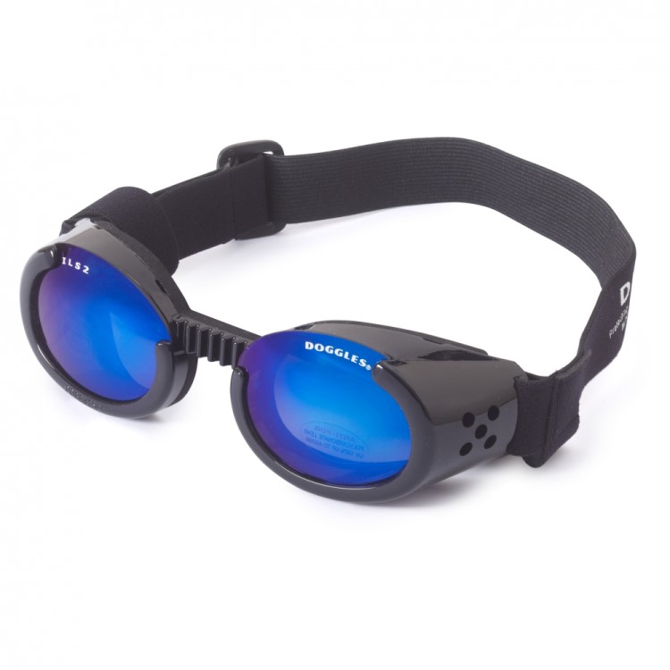Solglasögon för hundar, Doggles XSmall Svart