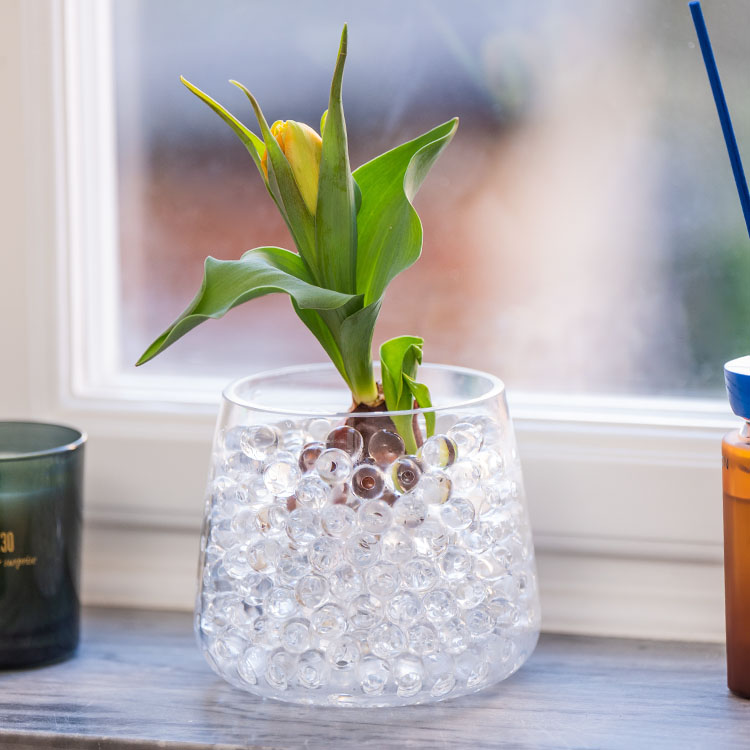 Växtkulor, Transparent | Hemmet - Trädgård - Odla | Pryloteket