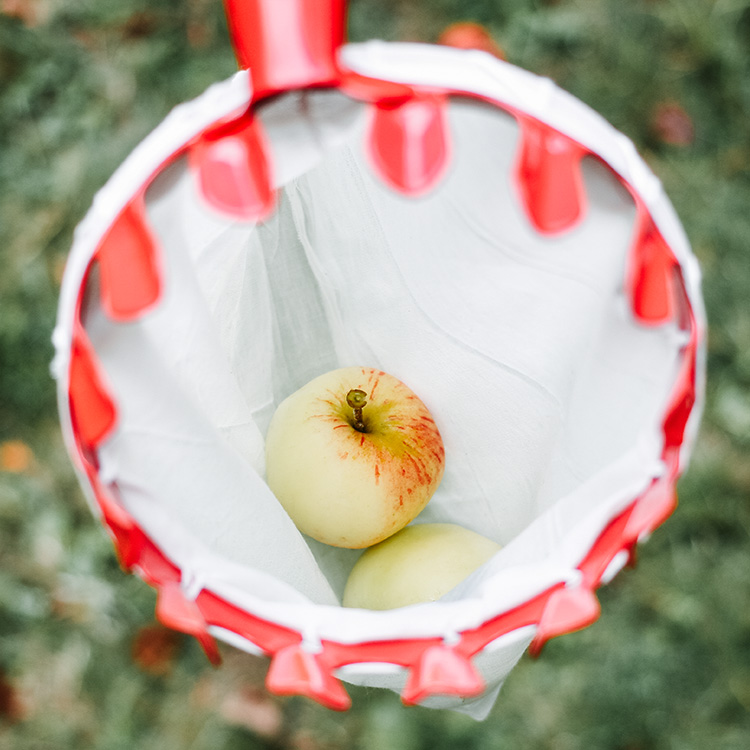 Fruktplockare