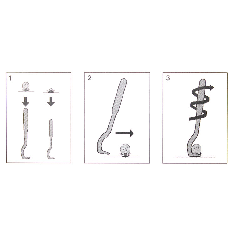 Fästingplockare 2-pack