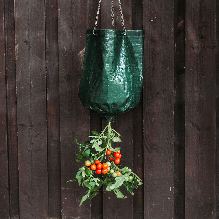 Hängande odlingsbag