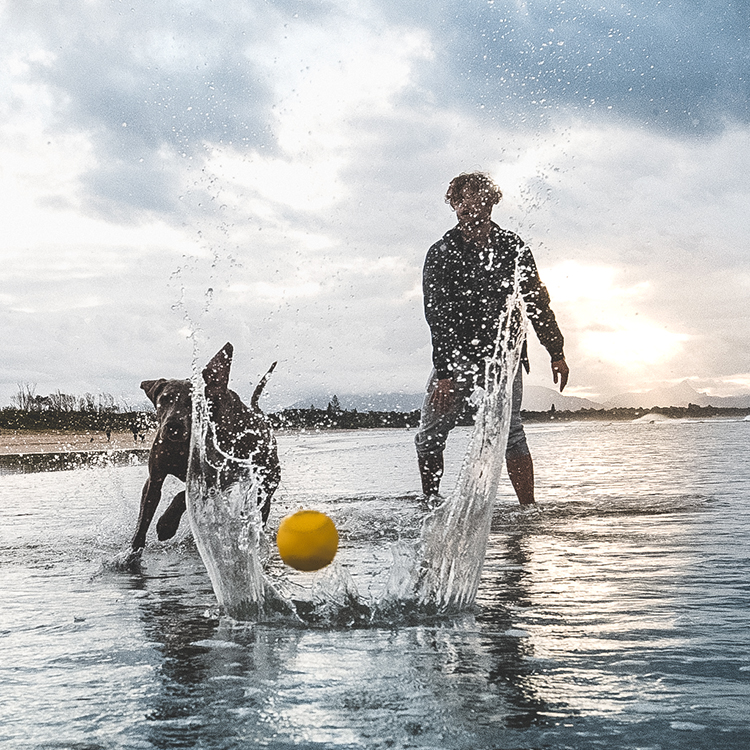 Vattenstudsboll till hunden