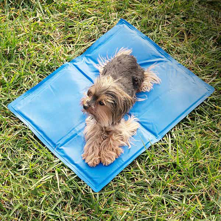 Kylmatta till hunden, Small