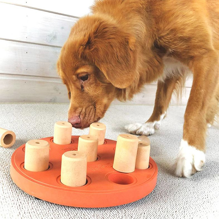 Aktivitetsspel för hunden