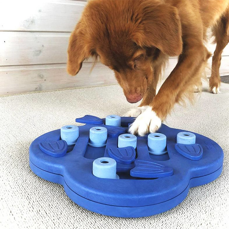 Aktivitetsspel för hunden