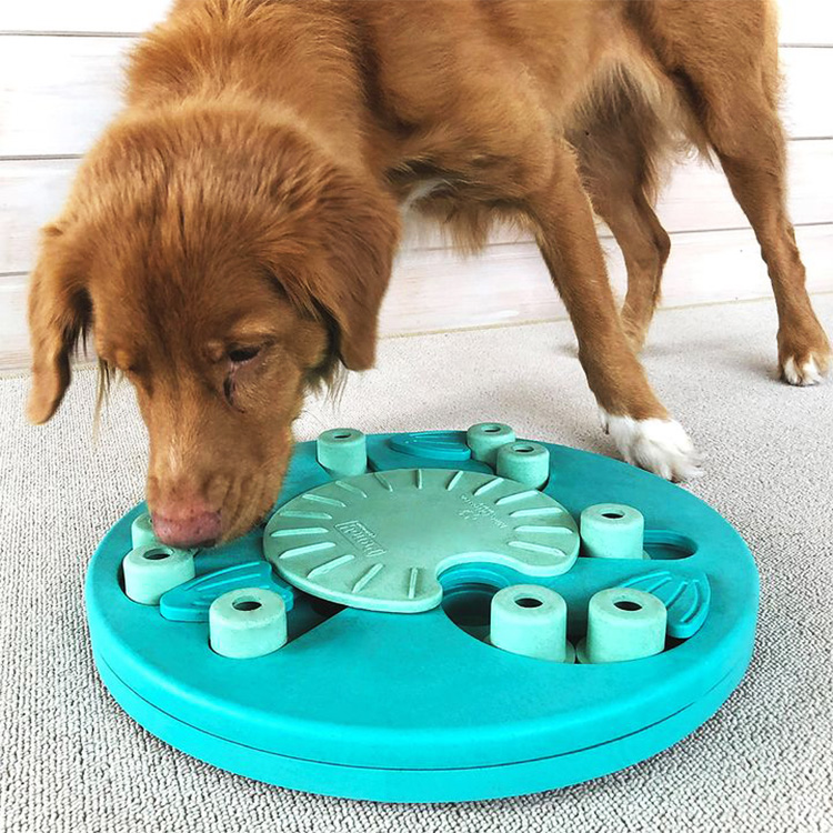 Aktivitetsspel för hunden