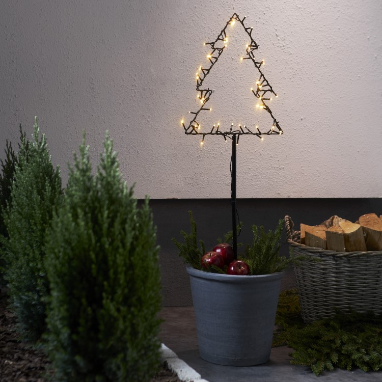 Julbelysning till trädgården, Gran
