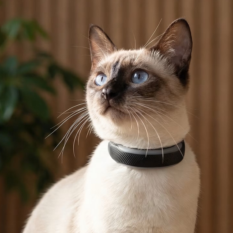 GPS till katt, Tractive