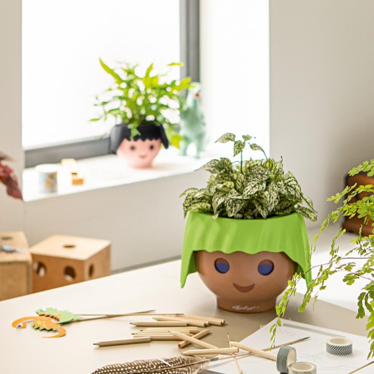 Självvattnande kruka Ansikte, Grönt hår