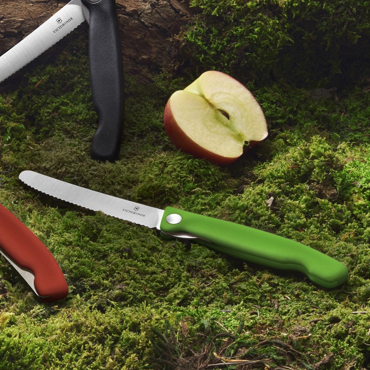Läs mer om Fällbar picknickkniv med tandat blad, Grön