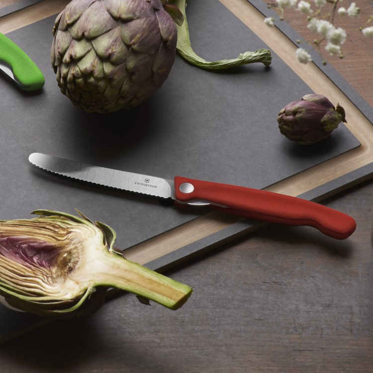 Fällbar picknickkniv med tandat blad, Röd