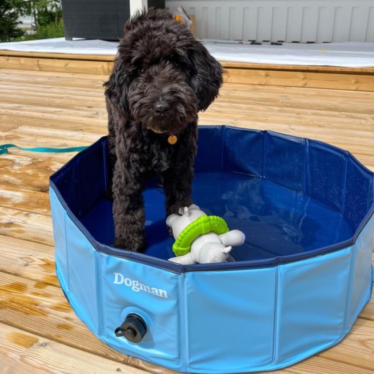 Läs mer om Hopfällbar hundpool, 80 cm