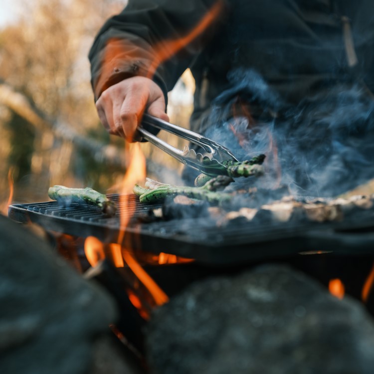 Satake vändbar grill- & stekplatta i gjutjärn