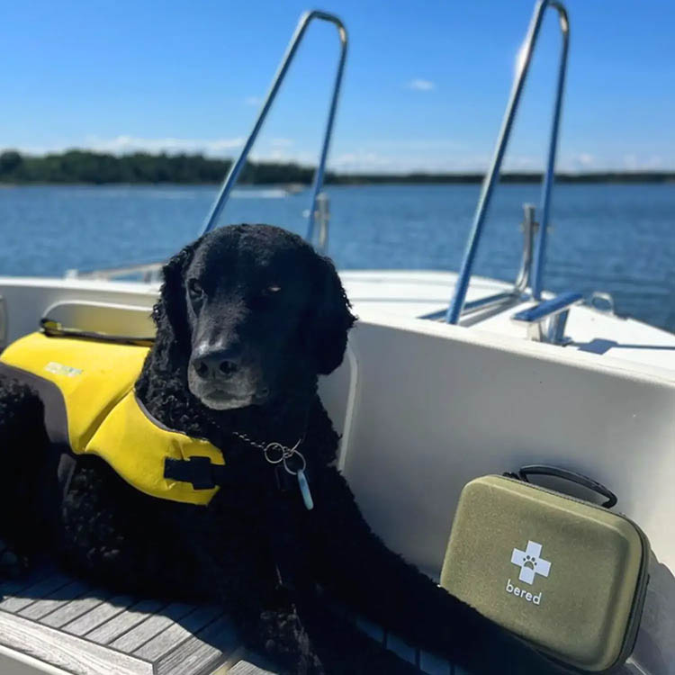 Första hjälpen-kit för hund och katt, Bered