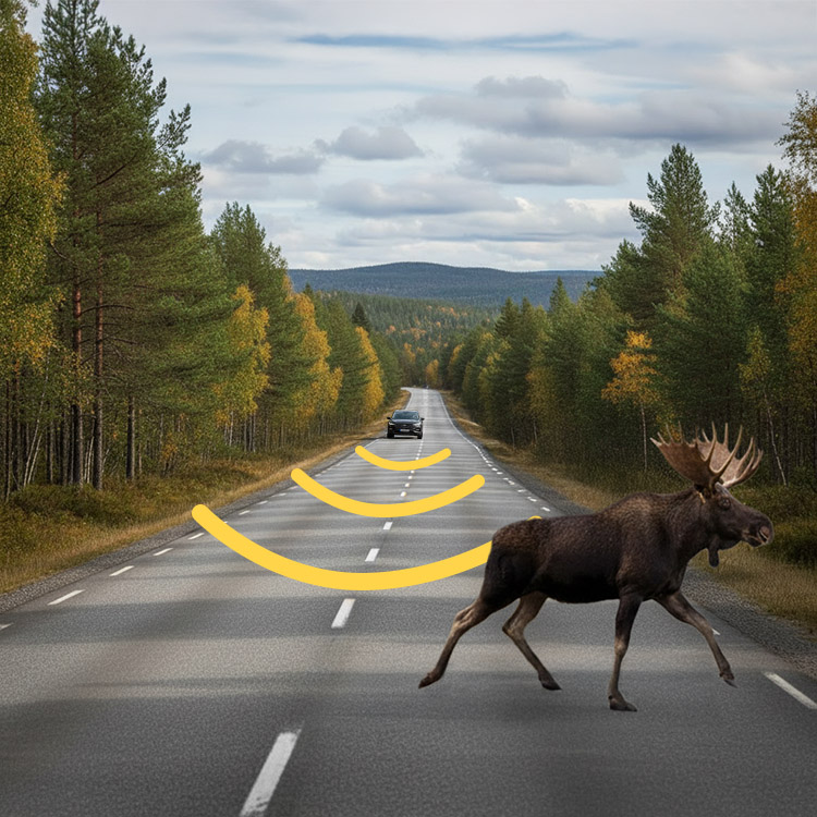 Viltskrämma till bilen