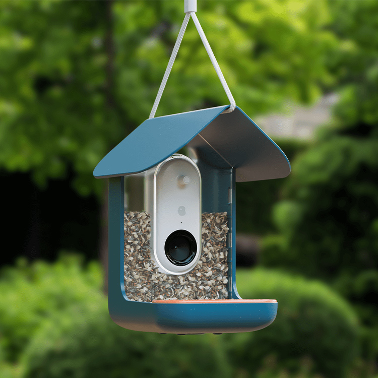 Fågelmatare med kamera, Birdbuddy