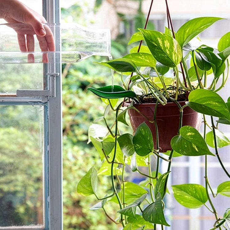 Bevattningstratt till kruka, 3-pack 