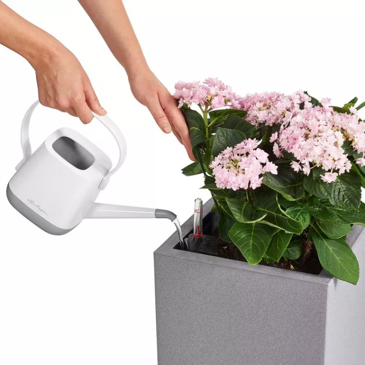 Självvattnande kruka