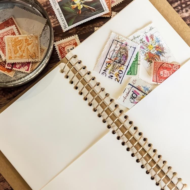 Anteckningsbok med fickor, SPIRAL PAPER POCKET A6 SLIM, Traveler's Comapany, Natur