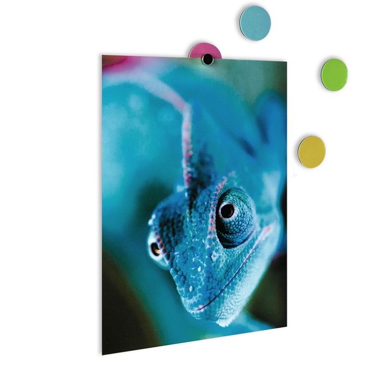 Gör ytan magnetisk, 28 st, ELEMENT DOT FLEX, Ø 2 cm