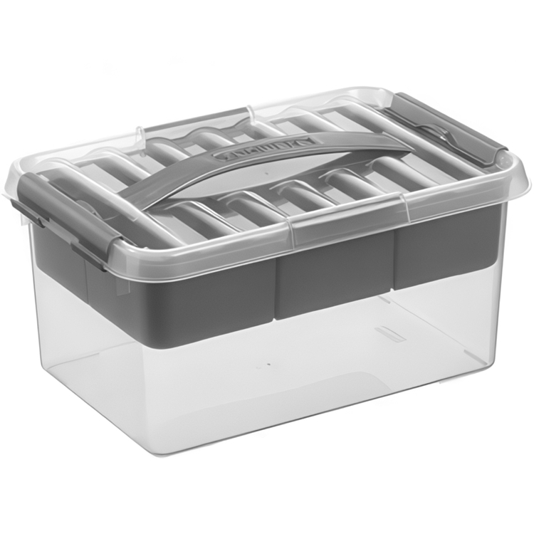 Låda med insats och handtag, 6 Liter, Q-LINE MULTIBOX, 30,7 x 20 x H 14,3 cm, Klar / Silvergrå