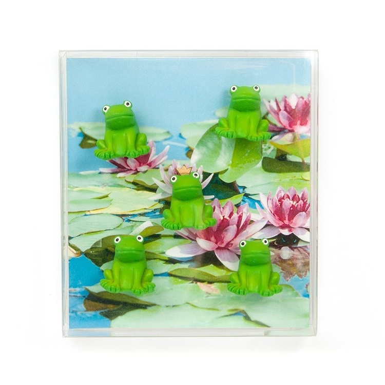 Magneter grodor, 5 st, FROG, Gröna