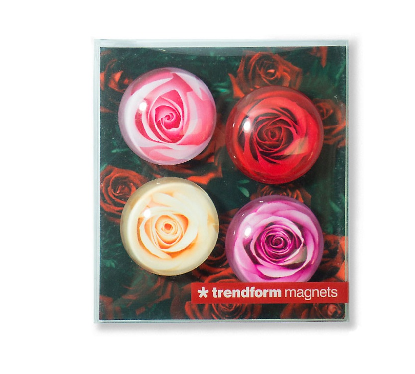 Magneter i glas med ros-motiv, ROSES, Ã˜ 3,5 cm, 4 stycken, Mix
