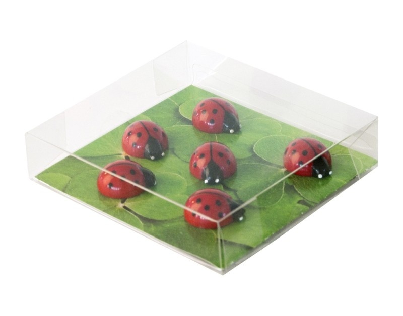 Magneter Nyckelpigor, 6st, LADYBUG, röda