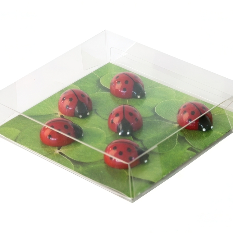Magneter Nyckelpigor, 6st, LADYBUG, röda