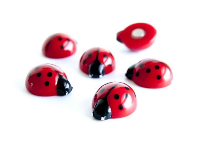 Magneter Nyckelpigor, 6st, LADYBUG, röda