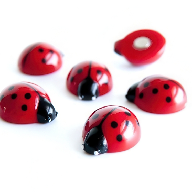Magneter Nyckelpigor, 6st, LADYBUG, röda