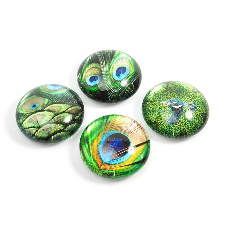 Magneter Påfåglar, 4 st, PEACOCK, Ã˜ 3,5 cm