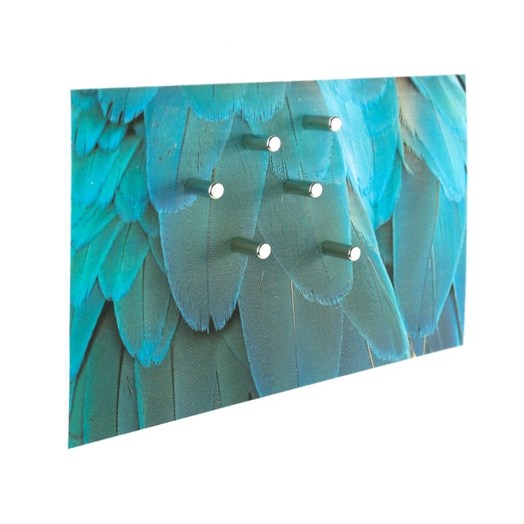 Magneter, 6 st, Superstarka, MAGIC CYLINDER, Ø 0,5 x H1,5 cm, Silver