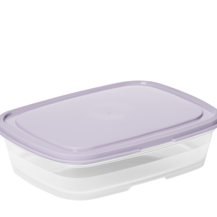 Matlåda, 0,5 L, SMARTSTORE FRESH, Transparent / Lila