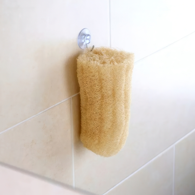 Sugpropp med krok, MINI HOOK, Ø 3 cm, Klar / Silver