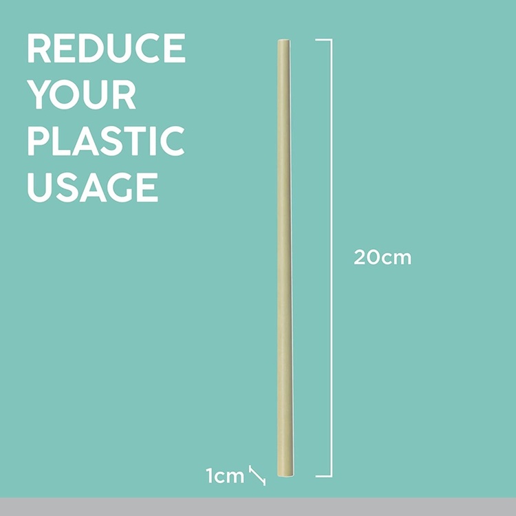 Sugrör i Bambu, återanvändbara, med borste, 4 st, TYPHOON BAMBOO, 20 cm, Beige