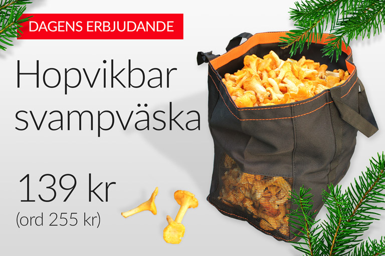 Erbjudande svampväska