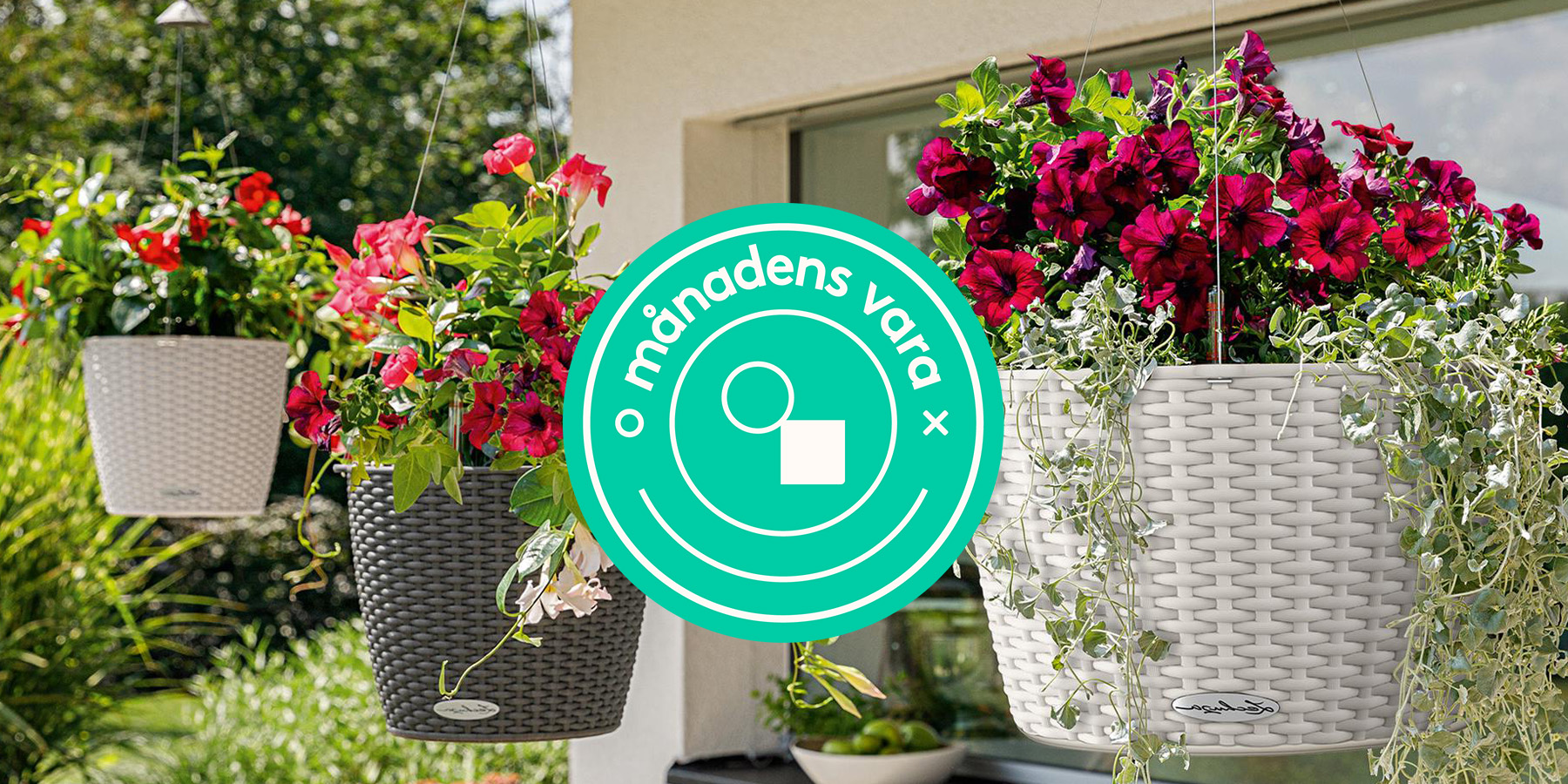 Månadens vara: Självvattnande ampelkruka 20%