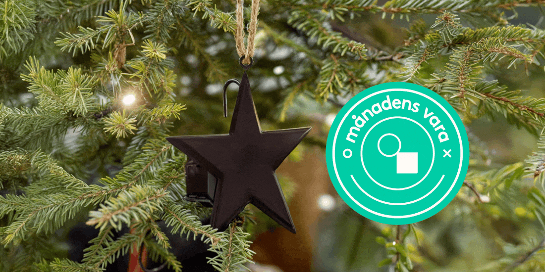 Månadens vara: Vattensensor till julgranen