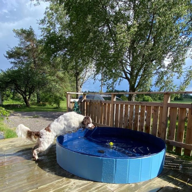 Hopfällbar hundpool